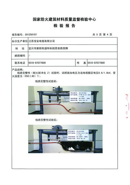 檢測報告1